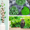 The Power of Detoxification in Homeopathic Treatment for High Uric Acid Levels